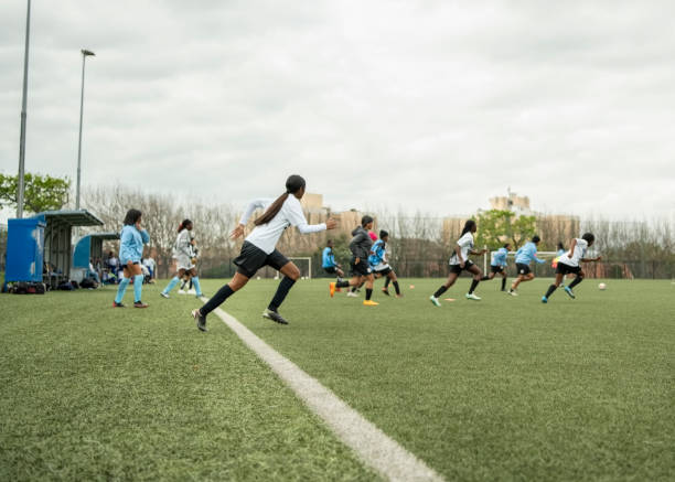 战术安排极 战术安排极