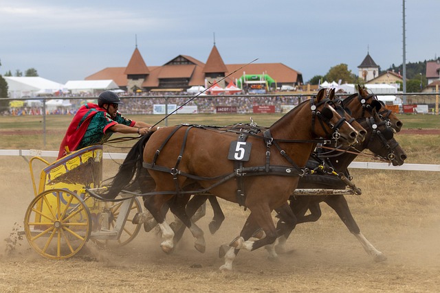 能在高压环 能在高压环